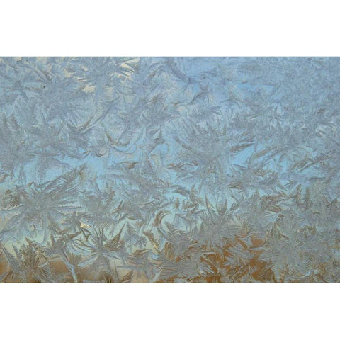 USA, Colorado Frost on window pane Black Modern Wood Framed Art Print by Illg, Cathy and Gordon