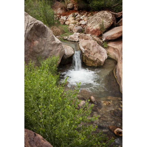 AZ, Grand Canyon, Deer Creek waterfall and pool Black Modern Wood Framed Art Print by Grall, Don