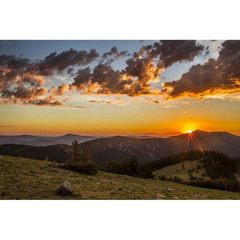 CO, Mt Evans Bristlecone pines and clouds Black Modern Wood Framed Art Print by Illg, Cathy and Gordon
