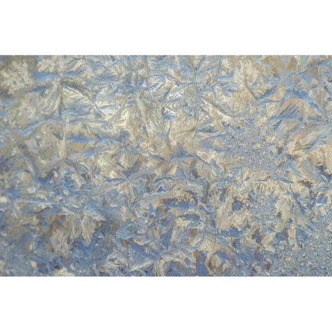 USA, Colorado Close-up of frost and ice on glass Black Modern Wood Framed Art Print with Double Matting by Illg, Cathy and Gordon