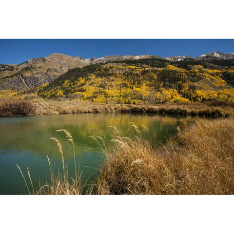 USA, Colorado Landscape in San Juan Mountains Gold Ornate Wood Framed Art Print with Double Matting by Illg, Cathy and Gordon