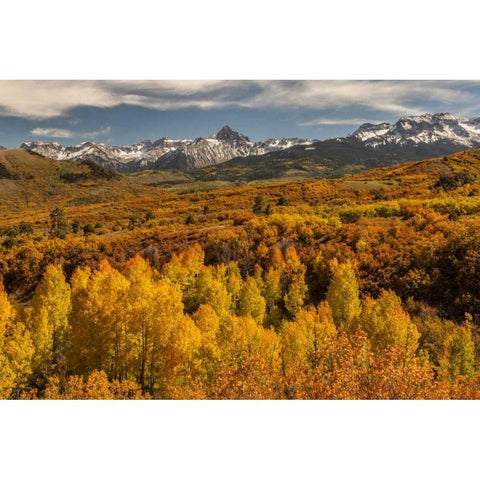Colorado Dallas Divide in San Juan Mountains Black Modern Wood Framed Art Print with Double Matting by Illg, Cathy and Gordon