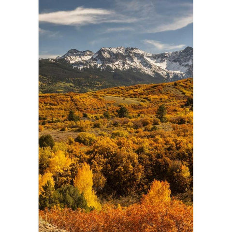 Colorado Dallas Divide in San Juan Mountains White Modern Wood Framed Art Print by Illg, Cathy and Gordon