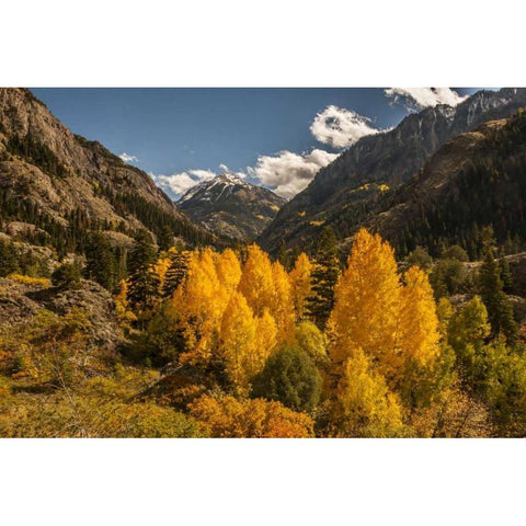 Colorado Autumn landscape in San Juan Mountains Black Modern Wood Framed Art Print by Illg, Cathy and Gordon