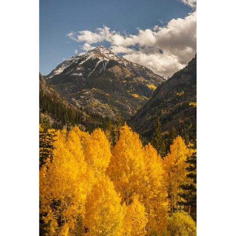 Colorado Autumn landscape in San Juan Mountains Black Modern Wood Framed Art Print by Illg, Cathy and Gordon
