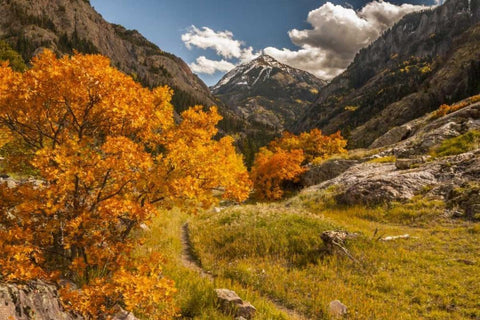 Colorado Autumn landscape in San Juan Mountains White Modern Wood Framed Art Print with Double Matting by Illg, Cathy and Gordon