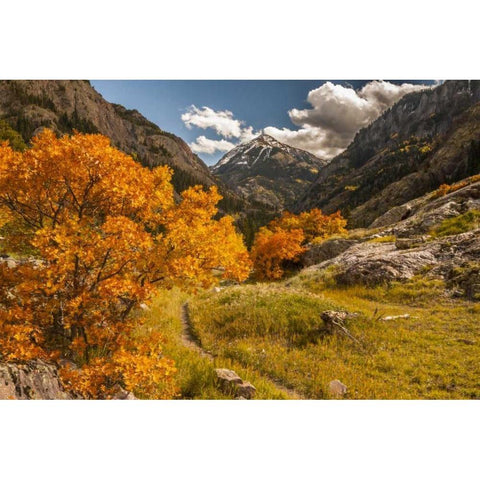 Colorado Autumn landscape in San Juan Mountains Black Modern Wood Framed Art Print by Illg, Cathy and Gordon