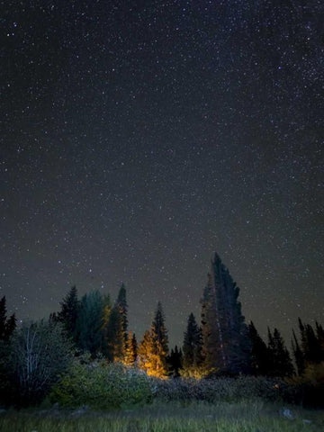 USA, Colorado Night sky at Lost Lake Slough Black Ornate Wood Framed Art Print with Double Matting by Paulson, Don