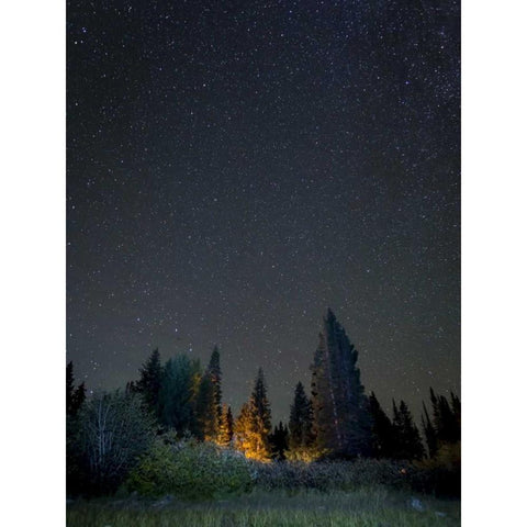 USA, Colorado Night sky at Lost Lake Slough Black Modern Wood Framed Art Print with Double Matting by Paulson, Don