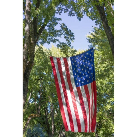 Colorado, Crawford Flag between two trees White Modern Wood Framed Art Print by Paulson, Don