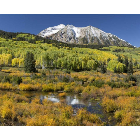 CO, East Beckwith Mountain Mountain and forest Black Modern Wood Framed Art Print by Paulson, Don