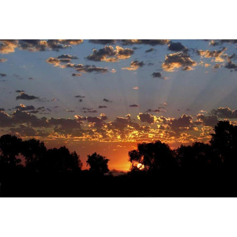 USA, Colorado, Boulder Sunrise at Sawhill Ponds Black Modern Wood Framed Art Print with Double Matting by Bush, Marie