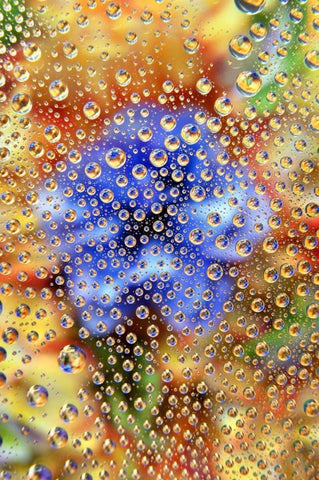 Colorado, Lafayette Abstract Water bubbles Black Ornate Wood Framed Art Print with Double Matting by Bush, Marie