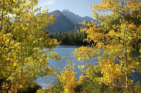 CO, Rocky Mts Bear Lake and Longs Peak, autumn Black Ornate Wood Framed Art Print with Double Matting by Bush, Marie