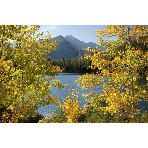 CO, Rocky Mts Bear Lake and Longs Peak, autumn White Modern Wood Framed Art Print by Bush, Marie