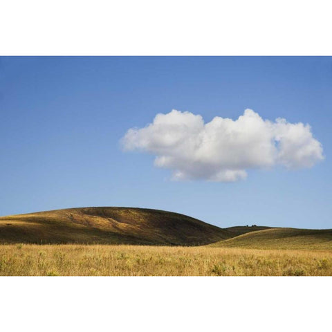 Colorado, San Juan Mts Landscape of Wilson Mesa Black Modern Wood Framed Art Print by Bush, Marie