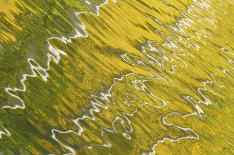 Colorado, San Juan Mts Reflection in Woods Lake White Modern Wood Framed Art Print with Double Matting by Bush, Marie