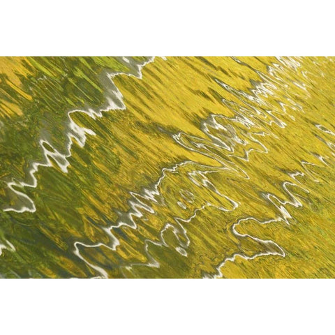 Colorado, San Juan Mts Reflection in Woods Lake Black Modern Wood Framed Art Print with Double Matting by Bush, Marie