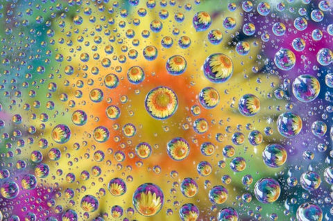 Colorado, Lafayette Abstract Water bubbles Black Ornate Wood Framed Art Print with Double Matting by Bush, Marie