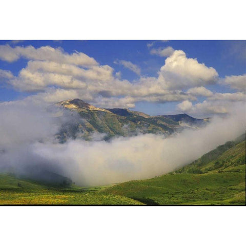 Colorado, Fog and mountain landscape White Modern Wood Framed Art Print by Rotenberg, Nancy
