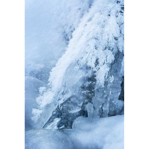 CO, Woodland Park Ice and frost on waterfall Black Modern Wood Framed Art Print by Grall, Don