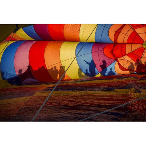 CO, Colorado Springs Hot air balloon Festival Black Modern Wood Framed Art Print by Grall, Don
