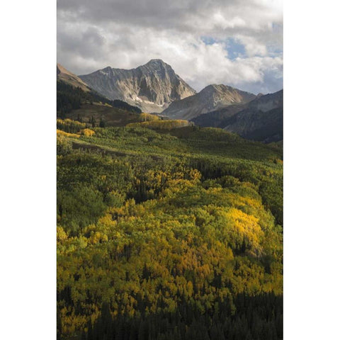 USA, Colorado Sunset on Capitol Peak and valley Gold Ornate Wood Framed Art Print with Double Matting by Grall, Don