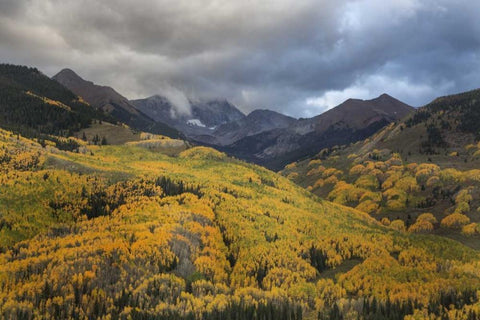 CO, White River NF, Capitol Peak Valley Storm Black Ornate Wood Framed Art Print with Double Matting by Grall, Don