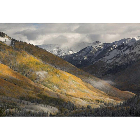 CO, San Juan Mts Red Mountain Pass after snow Gold Ornate Wood Framed Art Print with Double Matting by Grall, Don