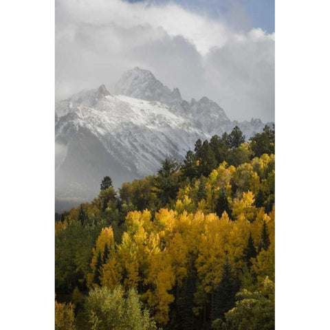 Colorado, Sneffels Range Mt Sneffels at sunset Black Modern Wood Framed Art Print by Grall, Don