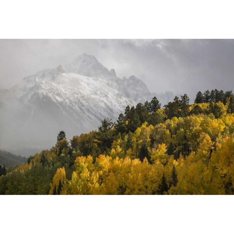 Colorado, Sneffels Range Mt Sneffels at sunset Black Modern Wood Framed Art Print by Grall, Don
