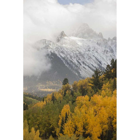 Colorado, Sneffels Range Mt Sneffels at sunset Black Modern Wood Framed Art Print with Double Matting by Grall, Don