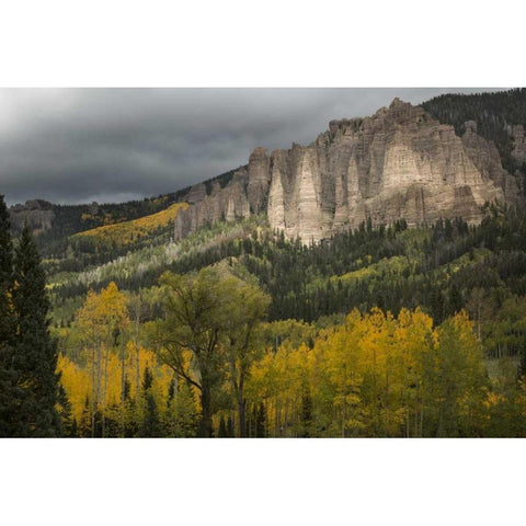 Colorado Storm clouds over the San Juan Mts Gold Ornate Wood Framed Art Print with Double Matting by Grall, Don