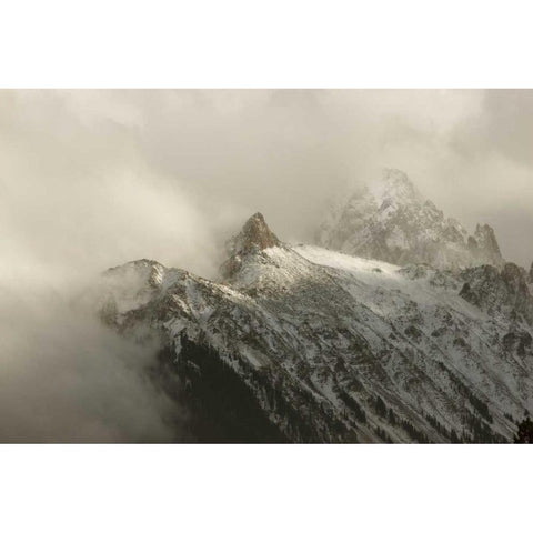 Colorado, Sneffels Range Clouds over Mt Sneffels Gold Ornate Wood Framed Art Print with Double Matting by Grall, Don