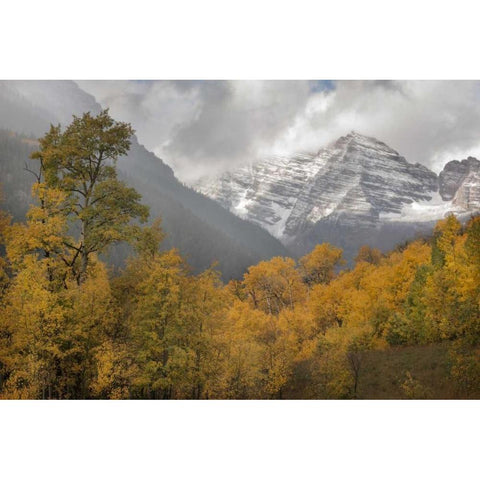 CO Autumn sunrise on Maroon Bells mountains White Modern Wood Framed Art Print by Grall, Don