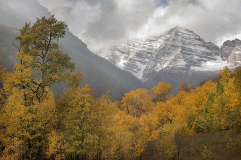 CO Autumn sunrise on Maroon Bells mountains White Modern Wood Framed Art Print with Double Matting by Grall, Don