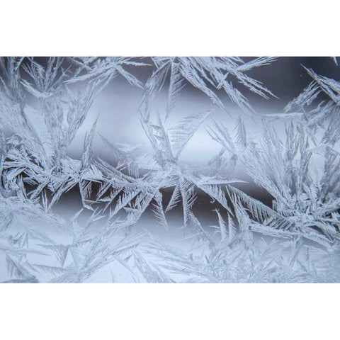 USA, Colorado, Denver Frost on a window Black Modern Wood Framed Art Print by Illg, Cathy and Gordon