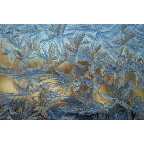 USA, Colorado, Denver Frost on a window Black Modern Wood Framed Art Print by Illg, Cathy and Gordon