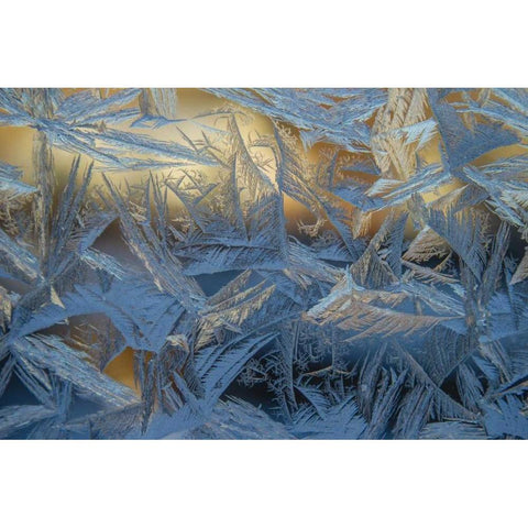 USA, Colorado, Denver Frost on a window Black Modern Wood Framed Art Print by Illg, Cathy and Gordon