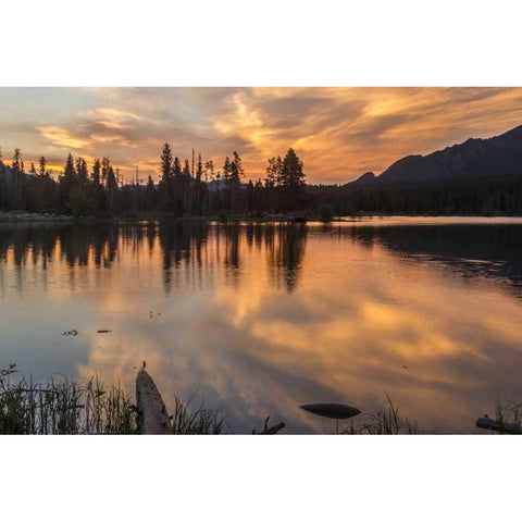 Colorado, Rocky Mountains Sprague Lake at sunset Black Modern Wood Framed Art Print by Illg, Cathy and Gordon