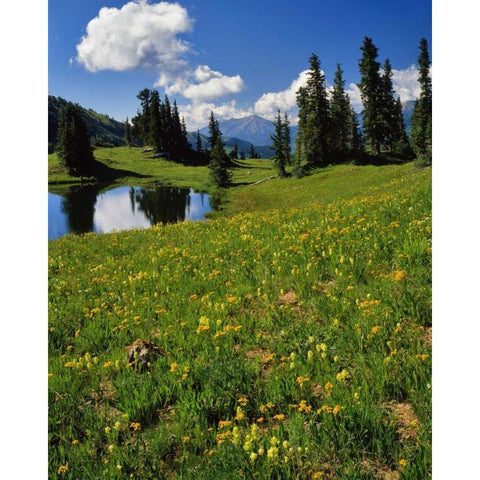 CO, Paradise Divide View of Whetstone Mountain Black Modern Wood Framed Art Print by Terrill, Steve