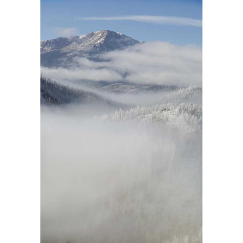 CO, Clouds fill the valleys below Pikes Peak Black Modern Wood Framed Art Print with Double Matting by Grall, Don