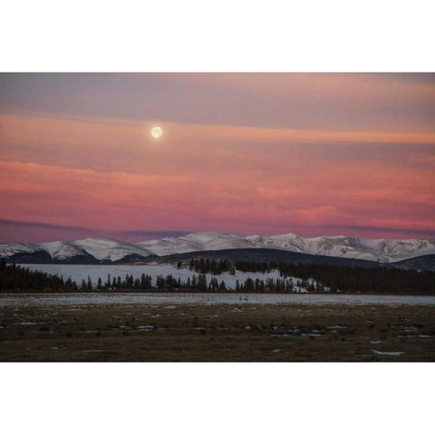 CO, Full moon and alpenglow above Mosquito Range Black Modern Wood Framed Art Print by Grall, Don