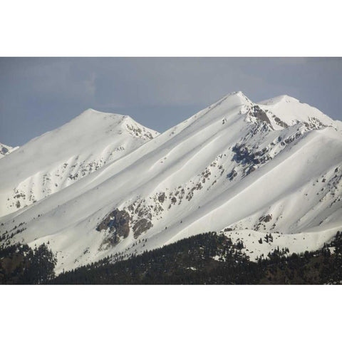 Colorado Fresh spring snow coats Sawatch Range Black Modern Wood Framed Art Print with Double Matting by Grall, Don