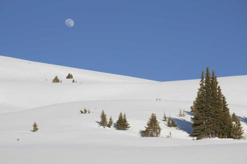 Colorado Moon rise above the Continental Divide Black Ornate Wood Framed Art Print with Double Matting by Grall, Don