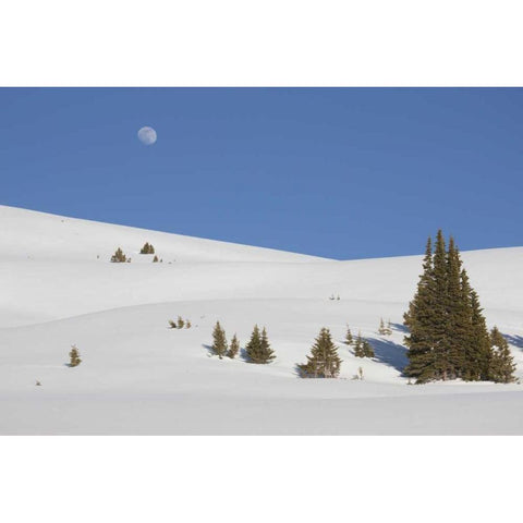 Colorado Moon rise above the Continental Divide Gold Ornate Wood Framed Art Print with Double Matting by Grall, Don