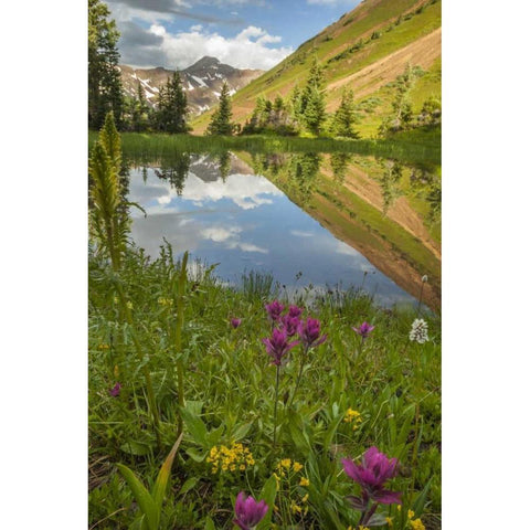 Colorado Paradise Divide and pond reflection Black Modern Wood Framed Art Print with Double Matting by Illg, Cathy and Gordon