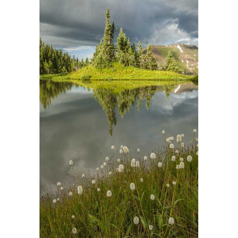 Colorado Paradise Divide and pond reflection Black Modern Wood Framed Art Print by Illg, Cathy and Gordon