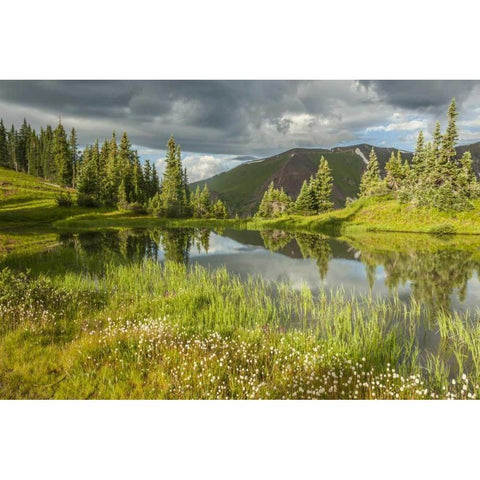 Colorado Paradise Divide and pond reflection Black Modern Wood Framed Art Print by Illg, Cathy and Gordon