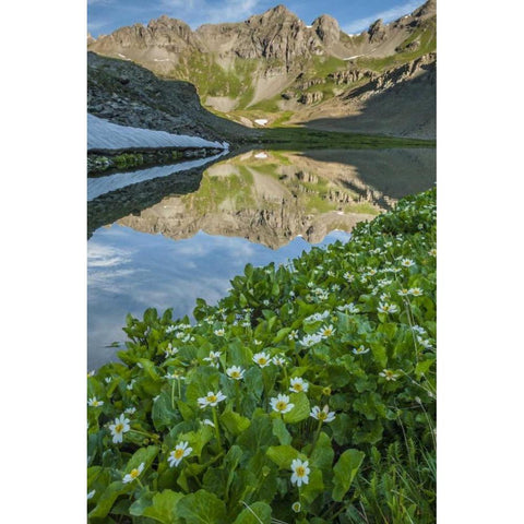 CO, San Juan Mts Lake reflection and marigolds Black Modern Wood Framed Art Print by Illg, Cathy and Gordon